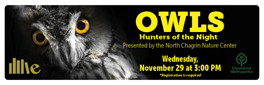 Owls Hunters of the Night November 29